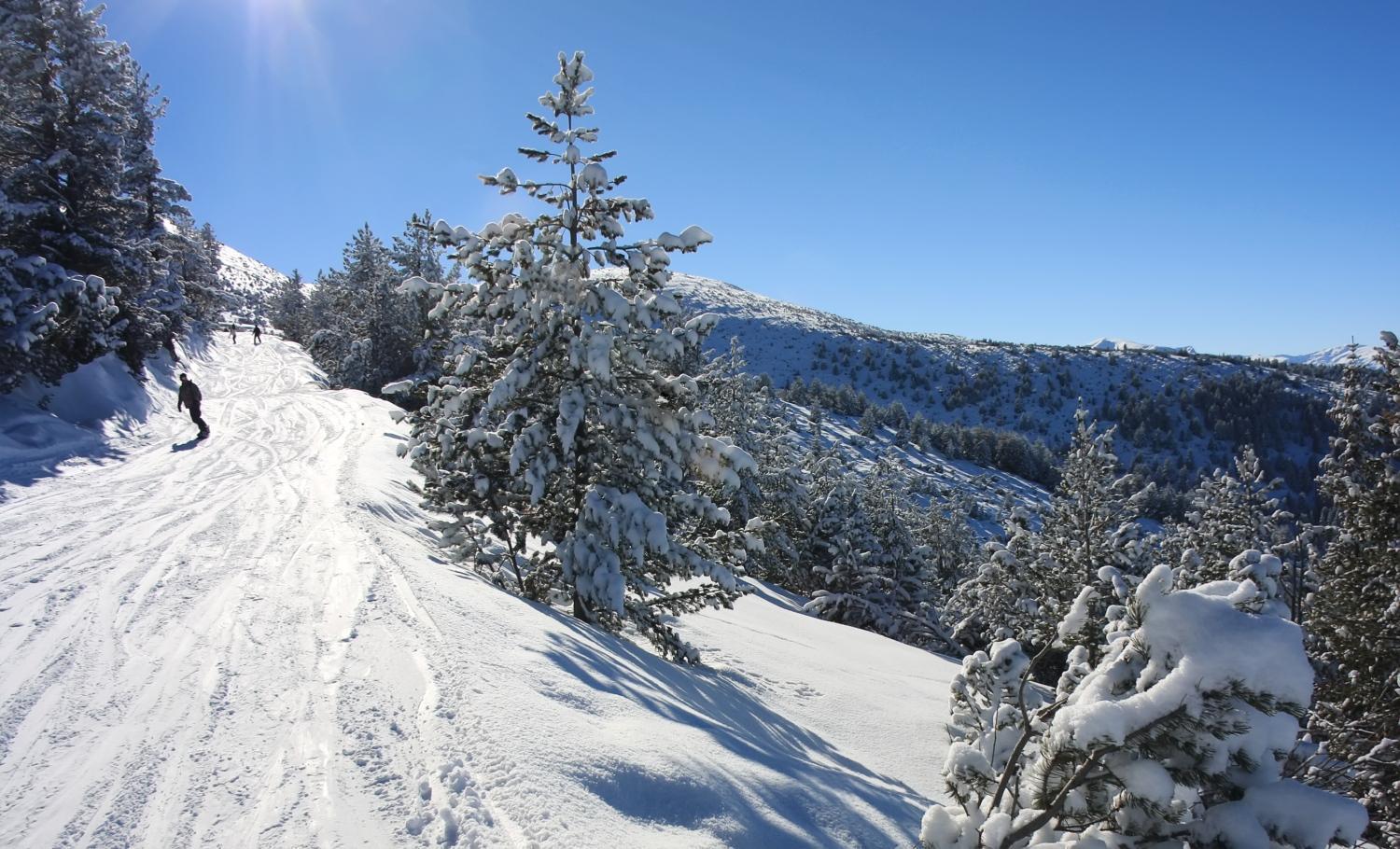 PM Services Borovets Garden Apartments Buitenkant foto