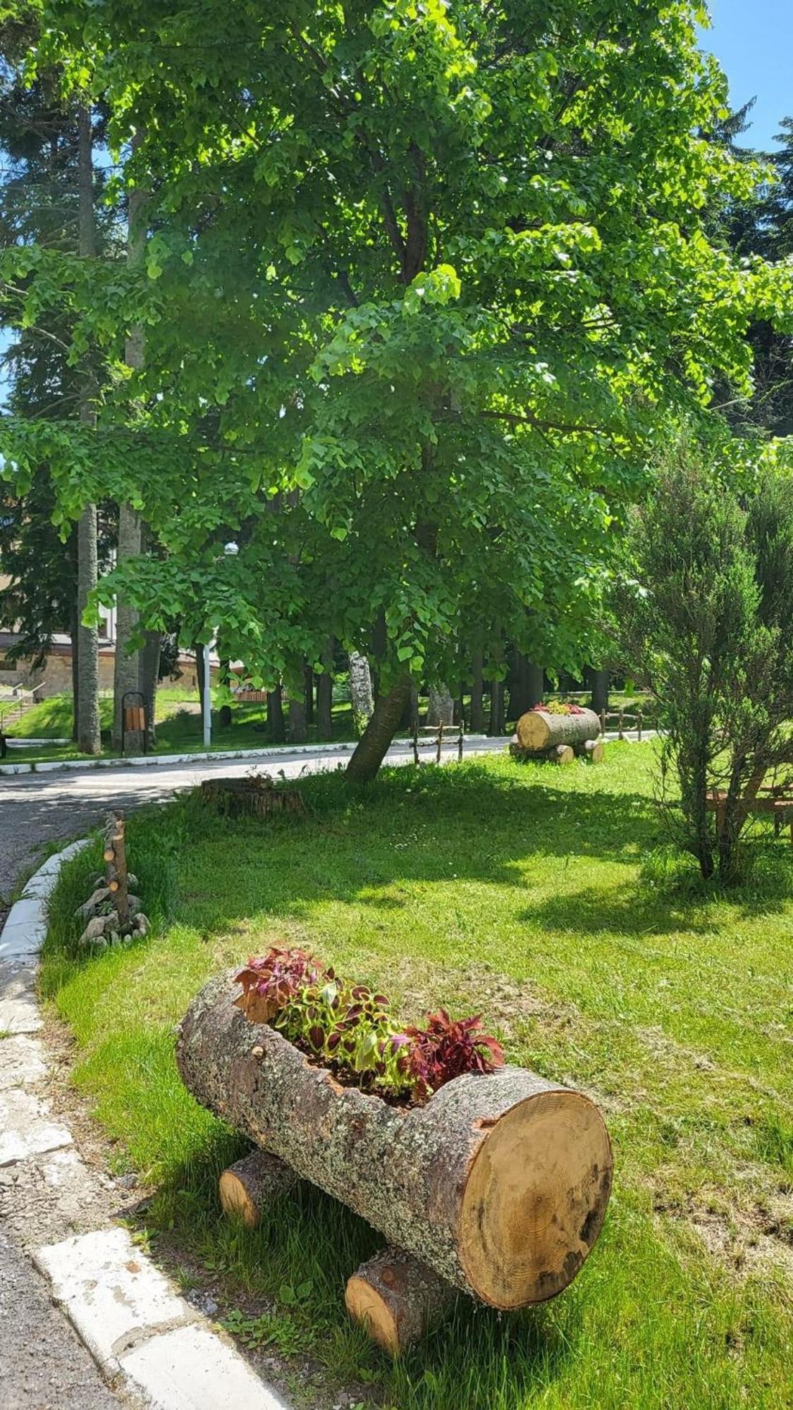 PM Services Borovets Garden Apartments Buitenkant foto