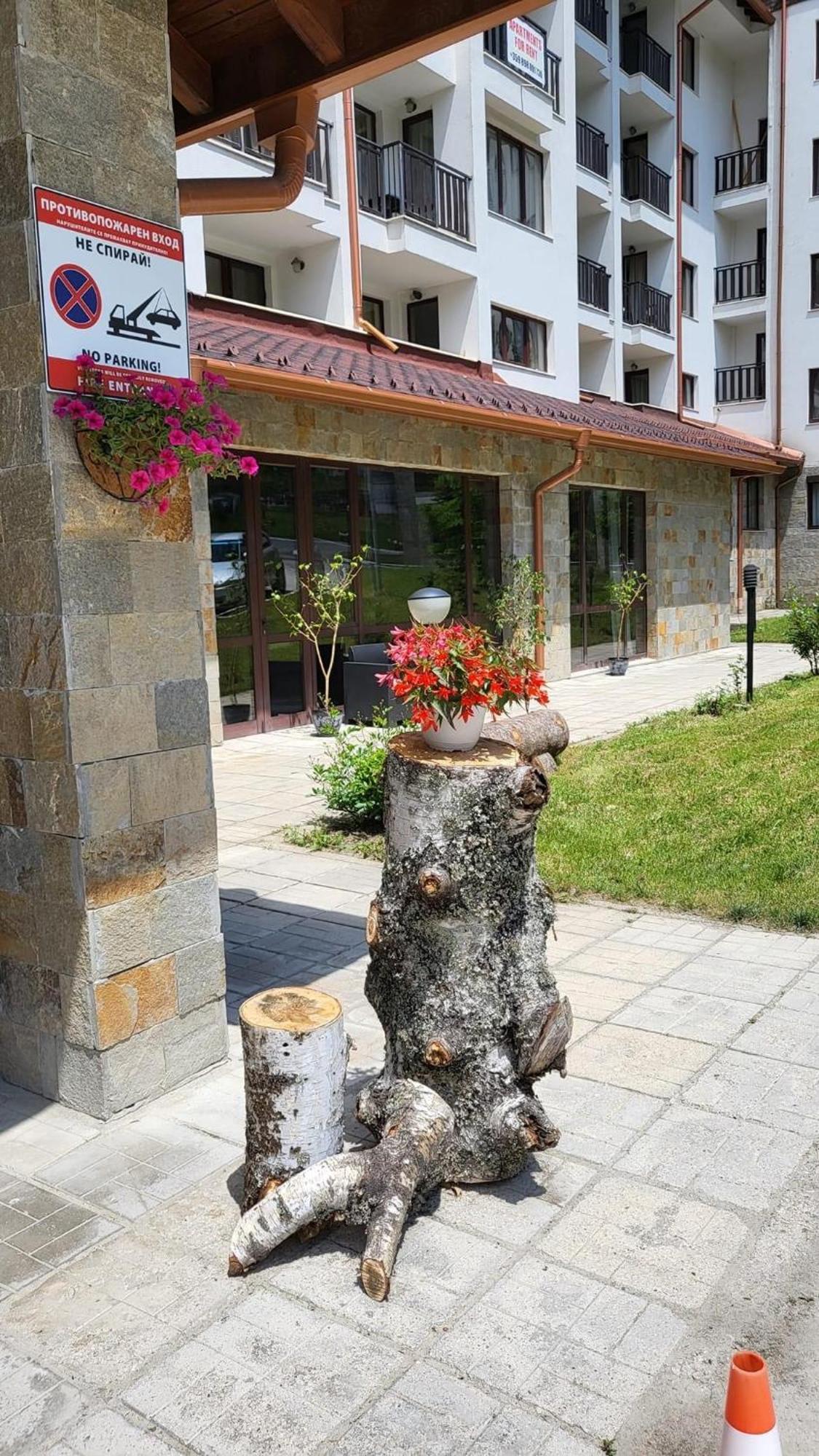 PM Services Borovets Garden Apartments Buitenkant foto
